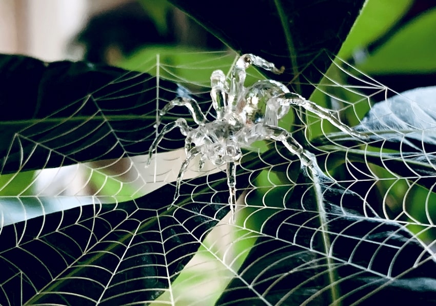 Jpキュービックで制作したアクリル製の蜘蛛サンプルイメージ